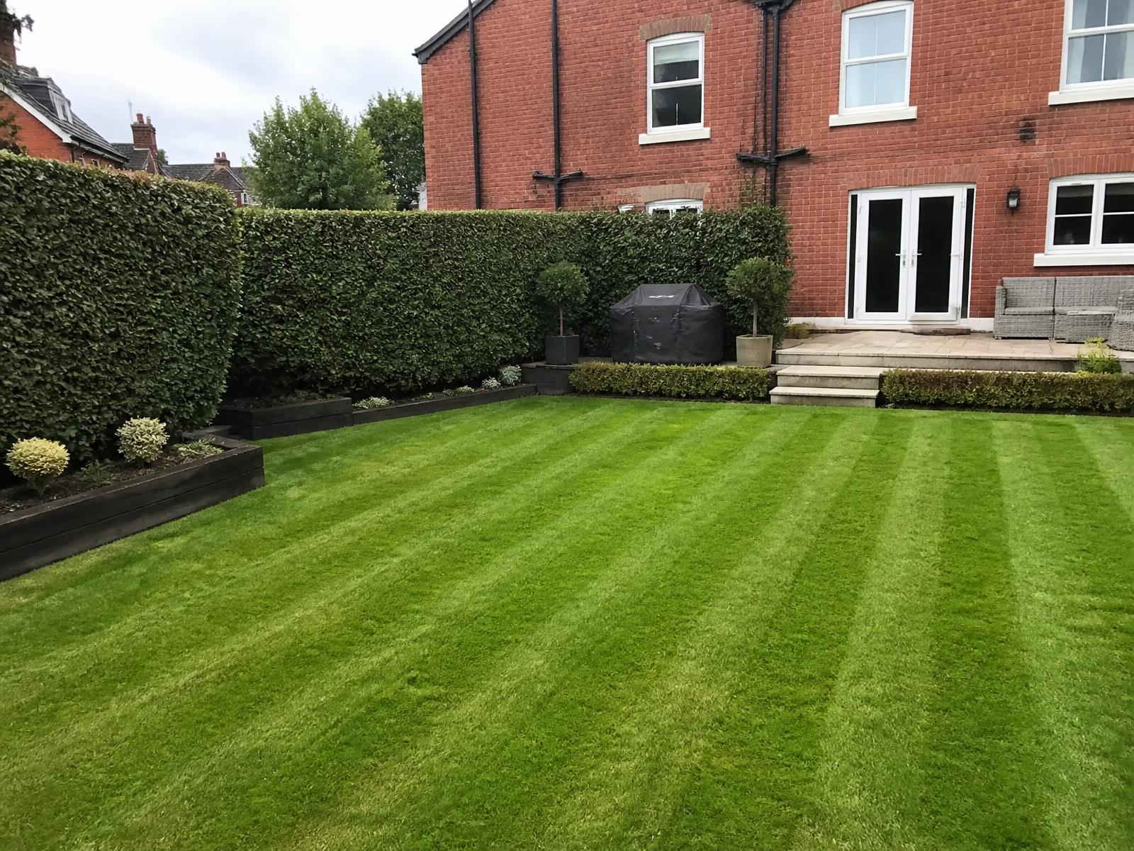 Freshly striped lawn and trimmed hedges in a Manchester back garden
